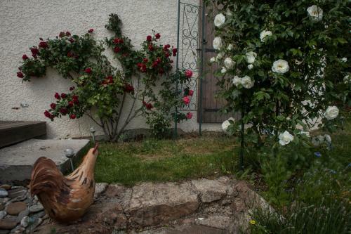 Bed & Breakfast Chambre D'h�tes La Bichette