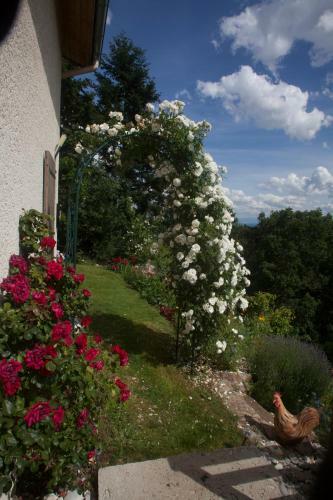 Bed & Breakfast Chambre D'h�tes La Bichette
