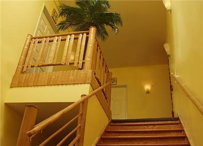 Hotel Tropica