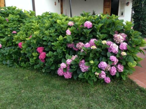 B&B Margherita Le Fiabe
