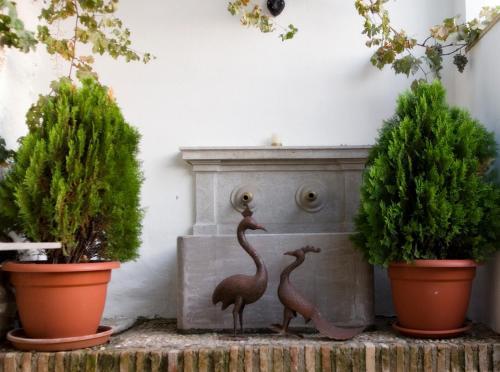 Hotel Carmen De Los Chapiteles