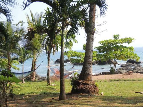 Corcovado Adventures Tent Camp