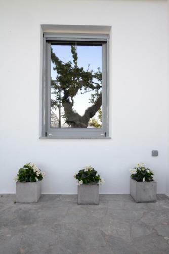 Despoina Apartment
