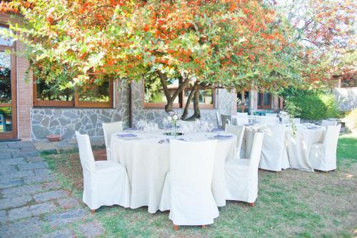 Agroturismo Sa Mola Srl