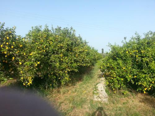 Agroturismo A Lumia