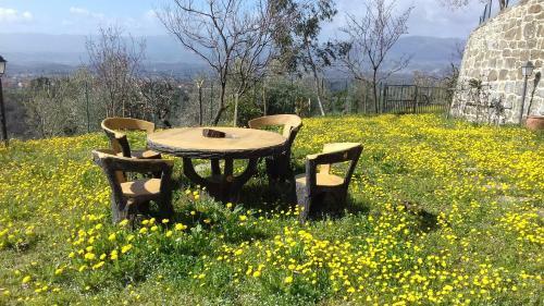 Agroturismo La Pietra Piana B&B