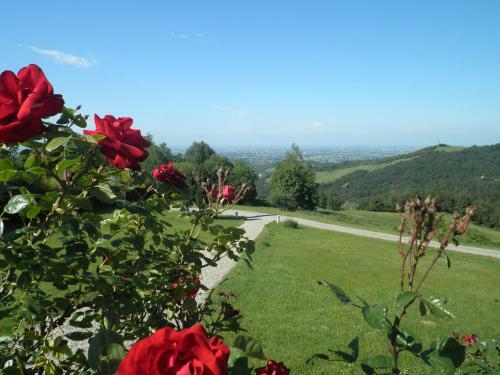 Agroturismo Agriturismo Cavazzone