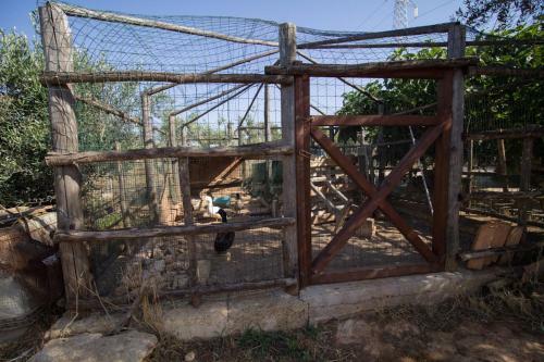 Bed & Breakfast Biancolivo Gallipoli In Salento