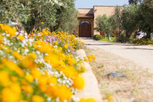 Bed & Breakfast Biancolivo Gallipoli In Salento