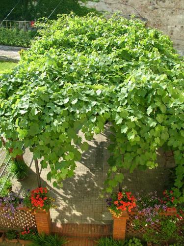 Bed & Breakfast Relais Buonfanti