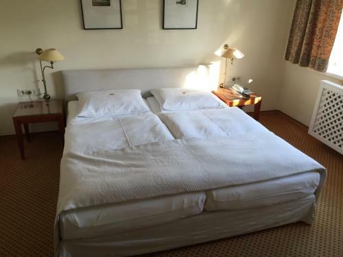Hostal Meyer's Hotel Garni