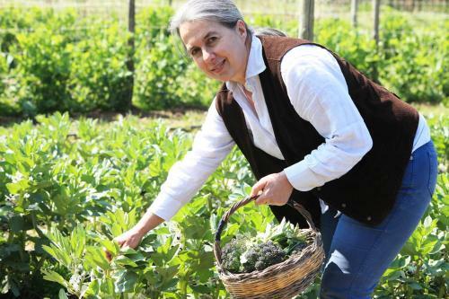 Agroturismo Agriturismo Le Tore