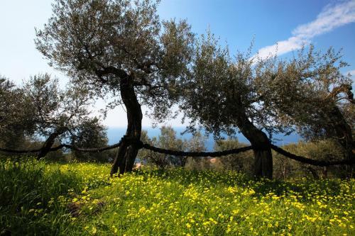 Agroturismo Agriturismo Le Tore