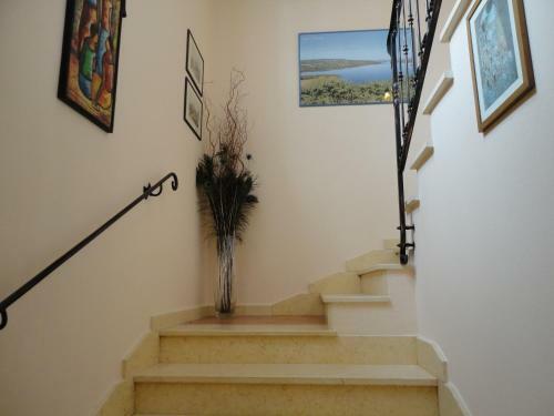 Bed & Breakfast Short Lets Prosperus