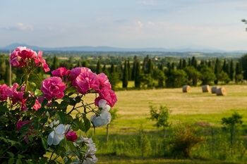 Hotel Relais Borgo San Pietro
