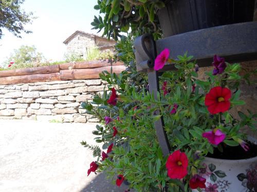 Agroturismo Ca' Scheta
