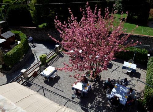 Hotel Trattoria Albergo La Vignetta