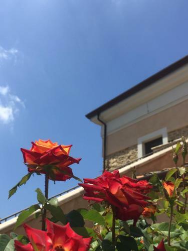 Bed & Breakfast Casale Tiano