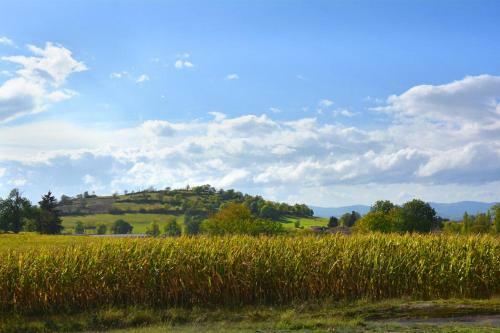 Bed & Breakfast Chambre D'h�tes La Paravent