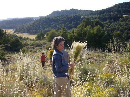 Agroturismo Ca L'olier