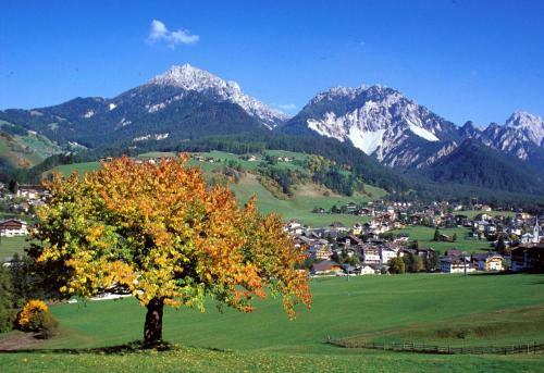 Apartments Sauter
