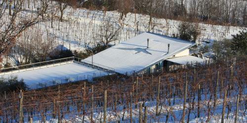 D'orsaria B&B And Wines