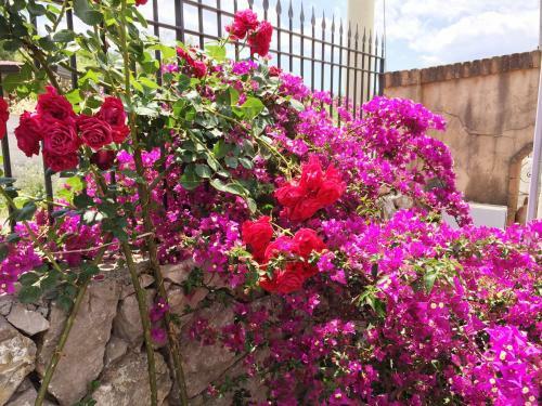B&B Terre Di Sicilia