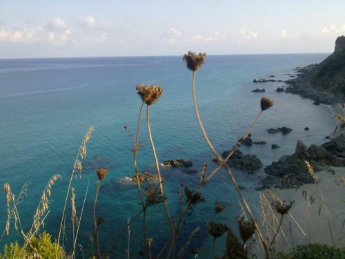 Hostal Affittacamere San Carlo