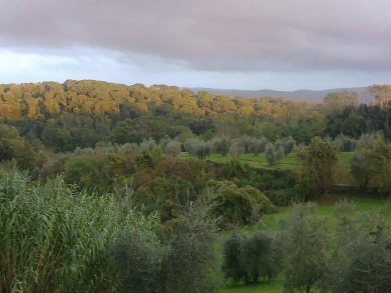 Agroturismo Podere San Quirico
