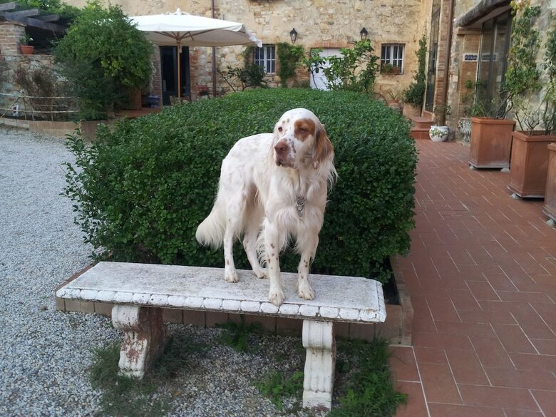 Agroturismo Podere San Quirico