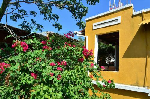 Hostal Jardin Etnobotanico Villa Ludovica
