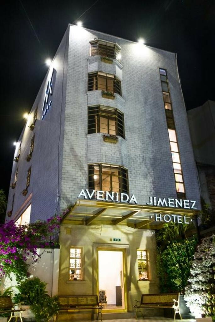 Hotel Avenida Jim�nez