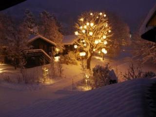 Hotel Village
