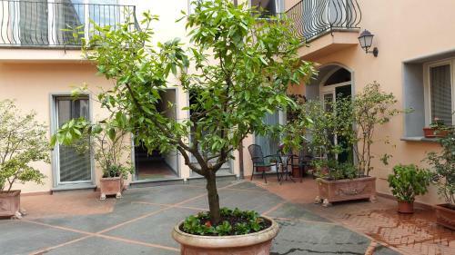 Apartamentos Palazzo Virginio