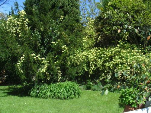B&B Caza Sereyna