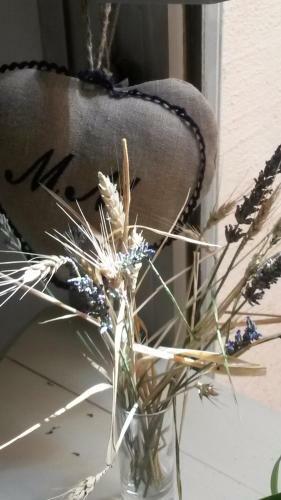 B&B Caza Sereyna