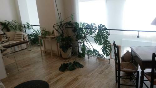 B&B Caza Sereyna