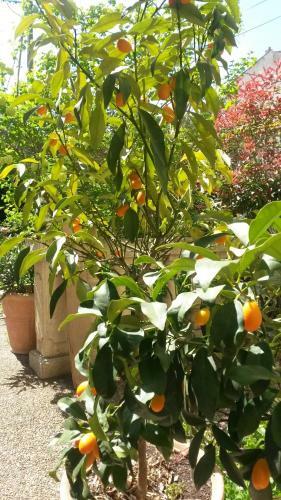 B&B Caza Sereyna