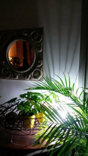 B&B Caza Sereyna