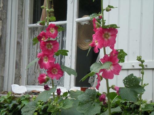 Hostal Cocooning Avignon