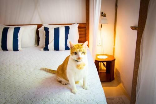 Trancoso House