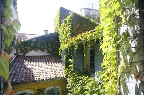 Apartamento La R�sidence Arles Centre
