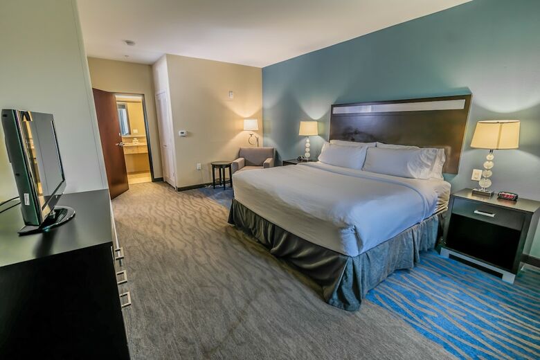 Hotel Holiday Inn Houston-webster