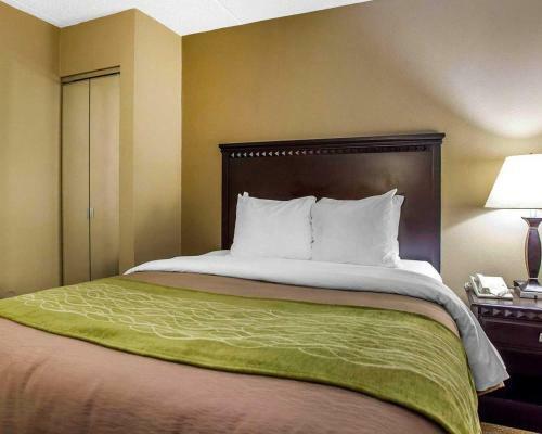 Hotel Comfort Inn Edison
