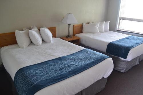 Motel Absaroka Lodge