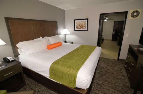 Holiday Inn Express Hotel & Suites Liberal