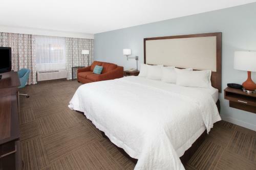 Hotel Hampton Inn Birch Run