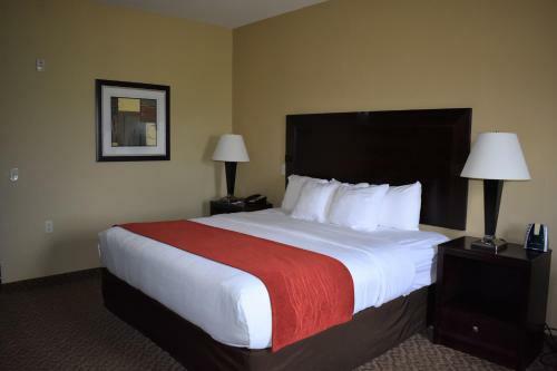 Hotel Comfort Inn & Suites Scottsboro