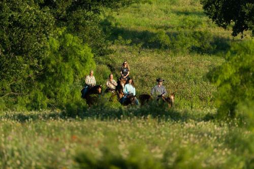 Hotel Wildcatter Ranch And Resort