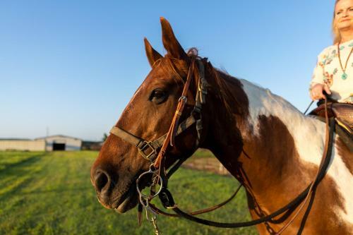 Hotel Wildcatter Ranch And Resort